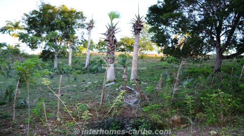 photos for SOSUA: LOT VISTA OCEANA